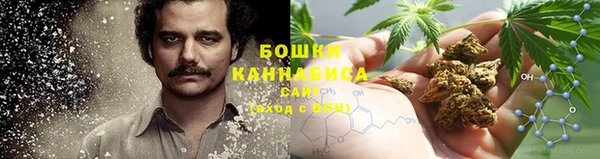мет Корсаков